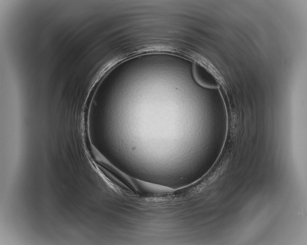 X0000116440898200912151238