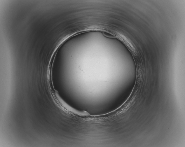 X0000116440900200912151238