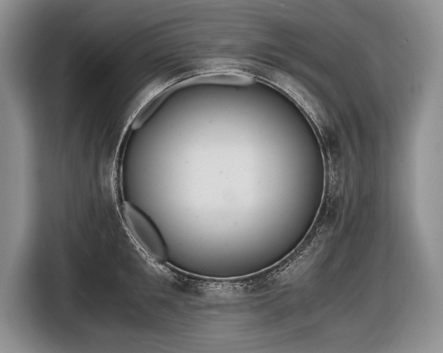 X0000116440901200912151238