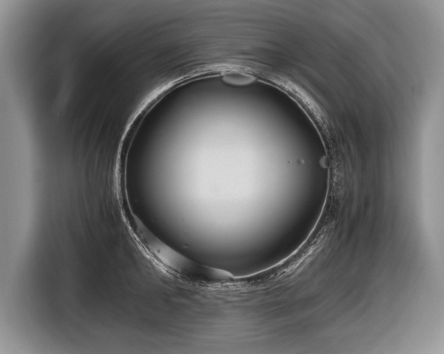 X0000116440902200912151238
