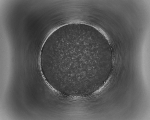 X0000116440903200912151238