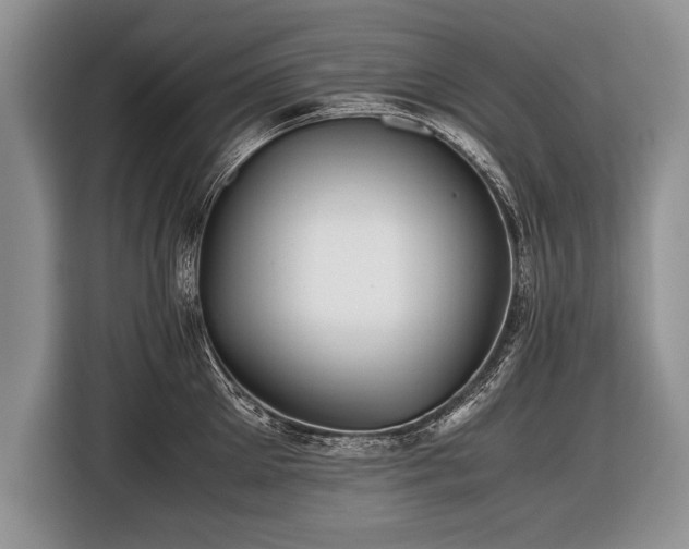 X0000116440905200912151237