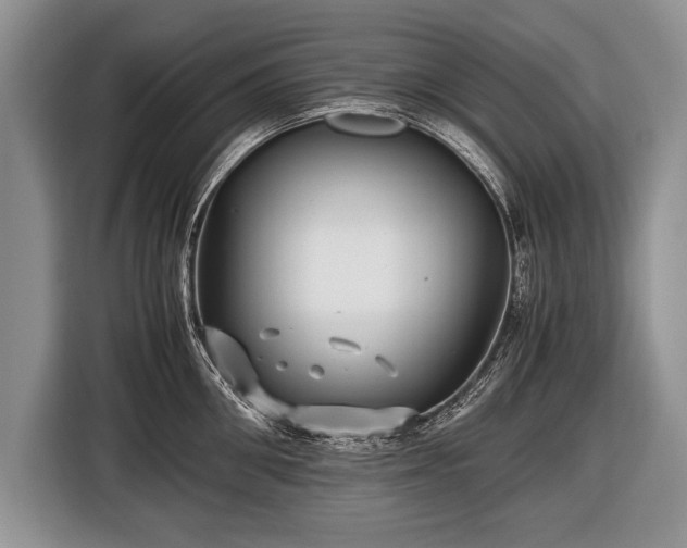 X0000116440906200912151237