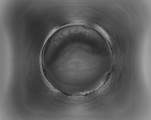 X0000116440907200912151237