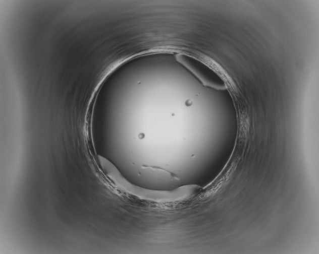 X0000116440908200912151237