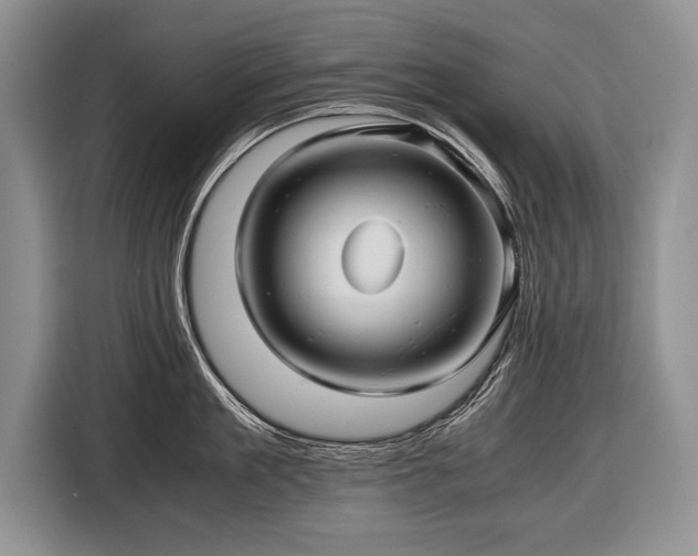 X0000116440909200912151237