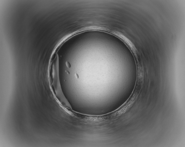 X0000116440910200912151237
