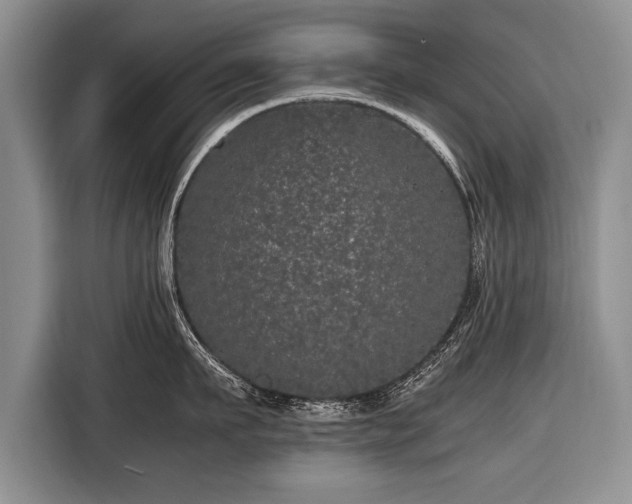 X0000116440911200912151237
