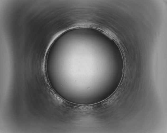 X0000116440912200912151237