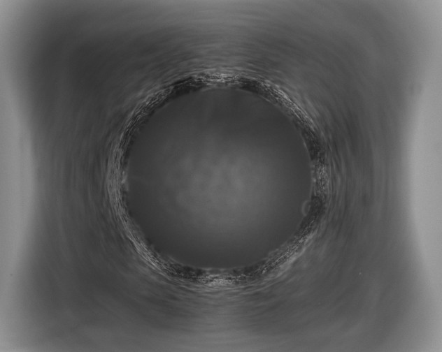 X0000116440913200912151237