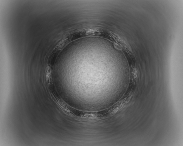 X0000116440914200912151237