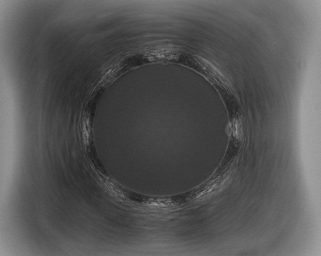 X0000116440915200912151237