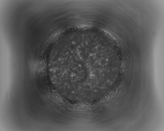X0000116440917200912151237
