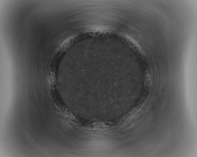 X0000116440918200912151237