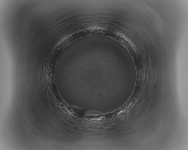 X0000116440919200912151237