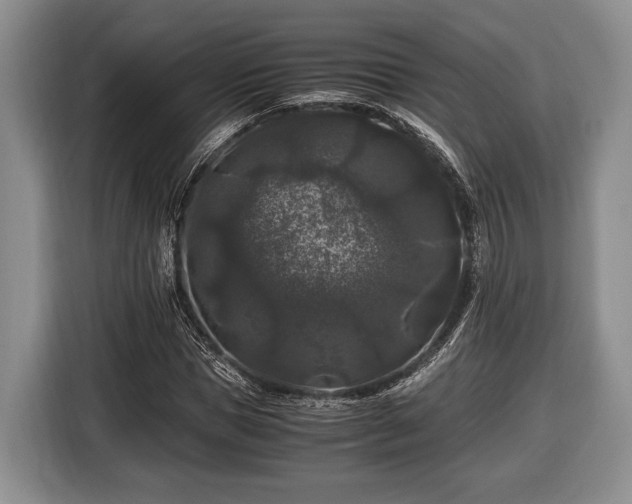 X0000116440921200912151237