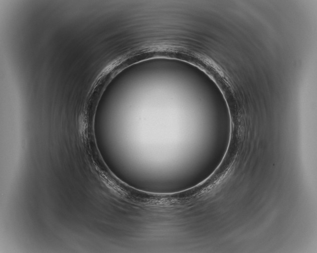 X0000116440922200912151237