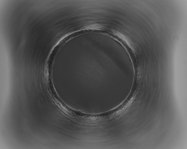 X0000116440923200912151237