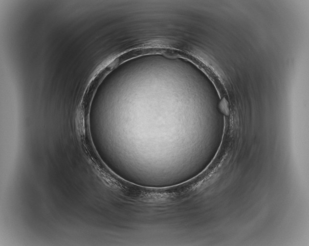 X0000116440925200912151237