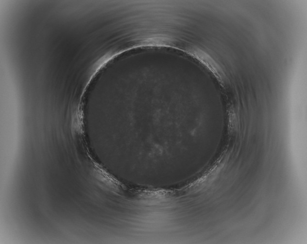 X0000116440926200912151237