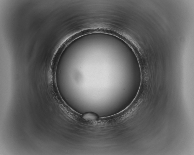 X0000116440927200912151237