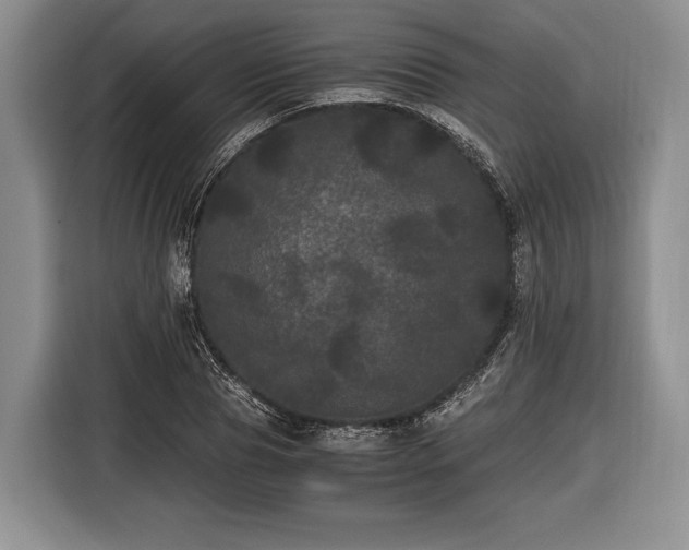 X0000116440929200912151237