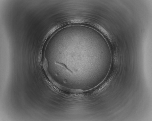 X0000116440930200912151237