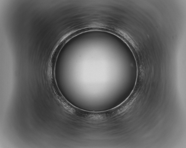 X0000116440931200912151237