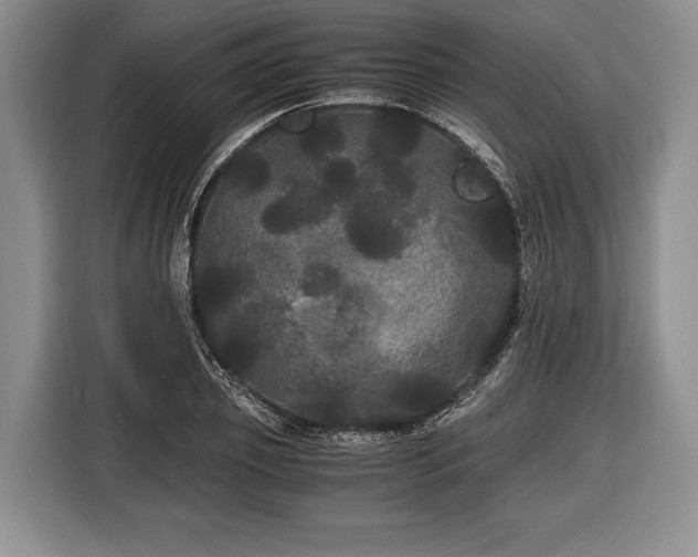 X0000116440933200912151237