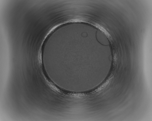 X0000116440934200912151237