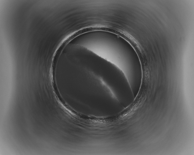 X0000116440935200912151237