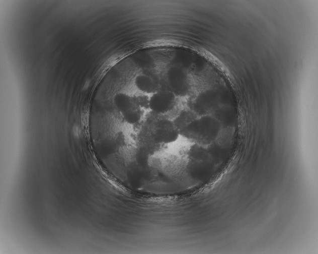X0000116440937200912151237