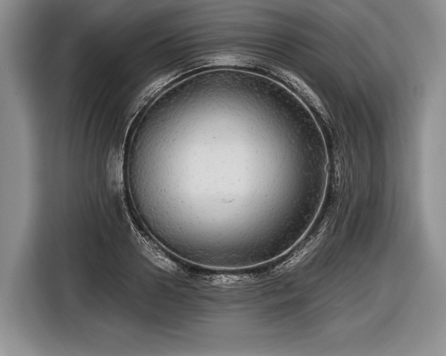 X0000116440938200912151237