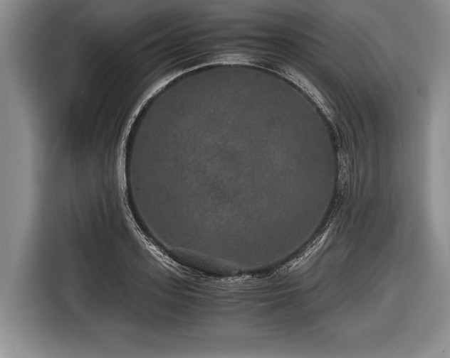 X0000116440939200912151237