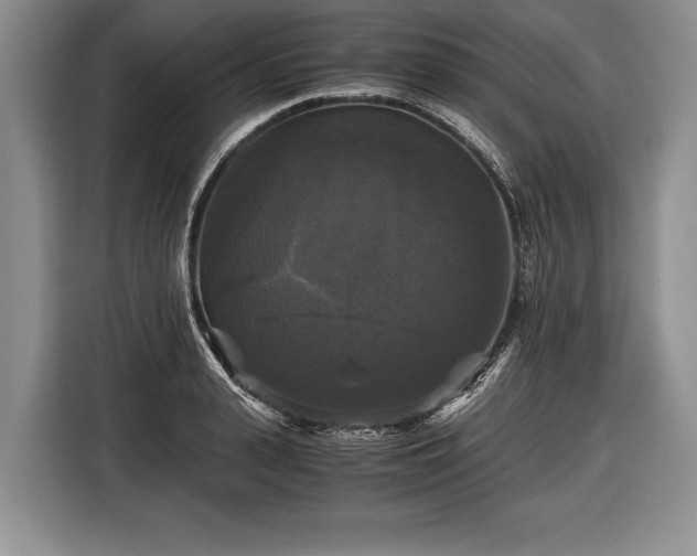 X0000116440943200912151237