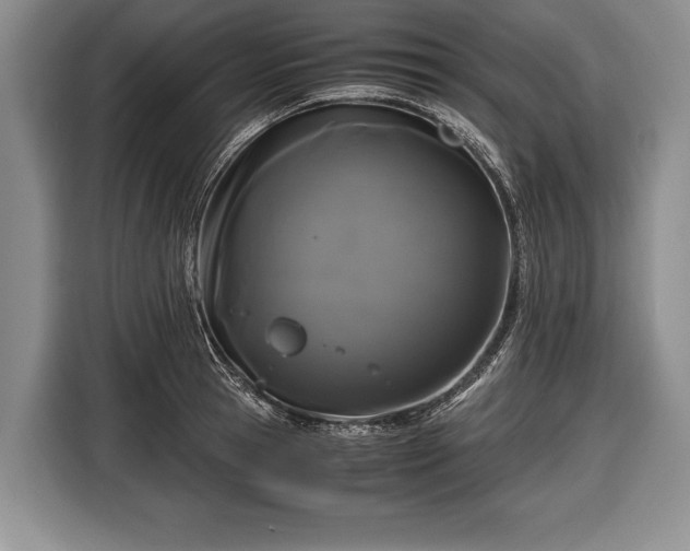 X0000116440945200912151237