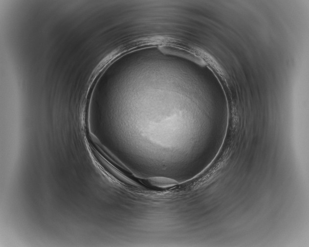X0000116440946200912151237