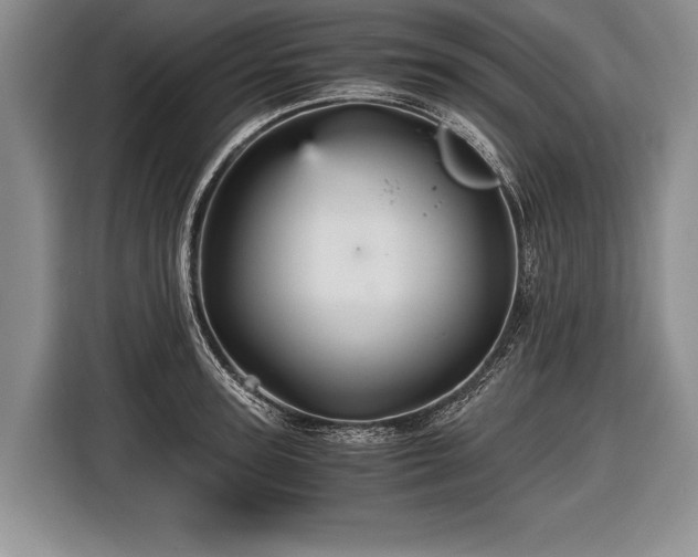 X0000116440947200912151237