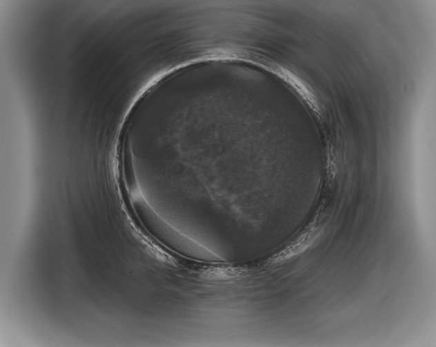 X0000116440950200912151237