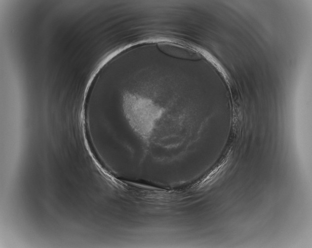 X0000116440951200912151237