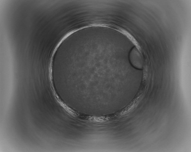 X0000116440955200912151237