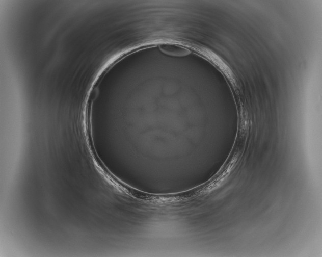 X0000116440958200912151237