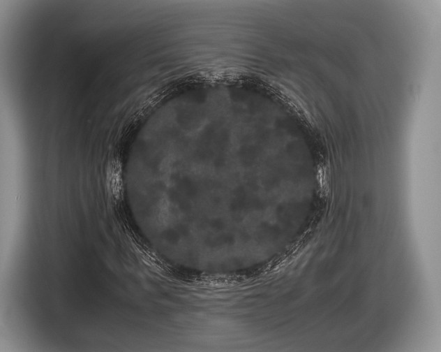 X0000116440963200912151237
