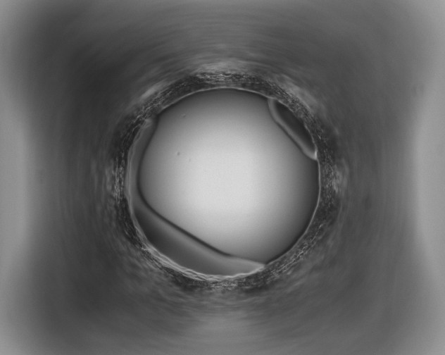 X0000116440965200912151237