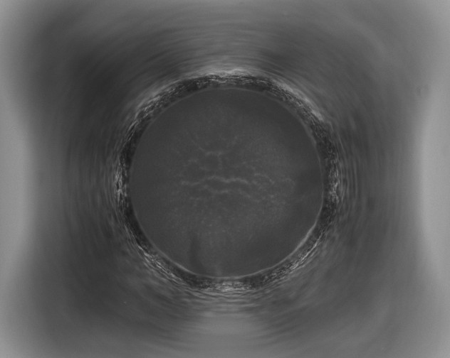 X0000116440966200912151237