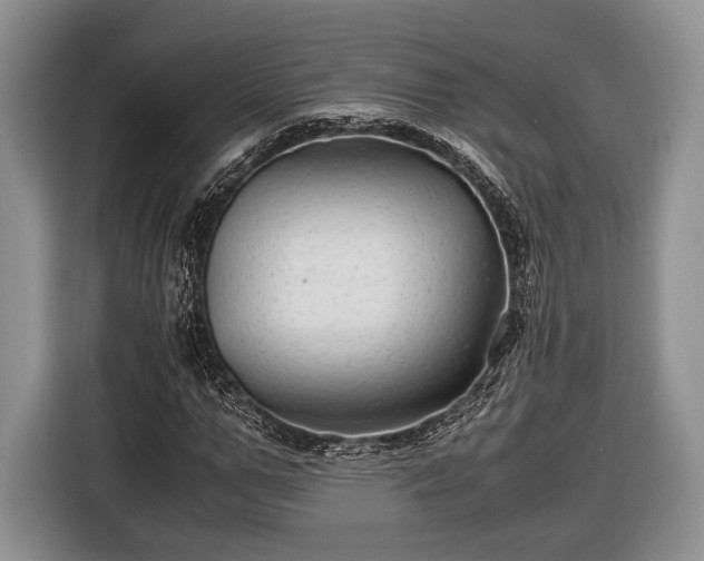 X0000116440967200912151237