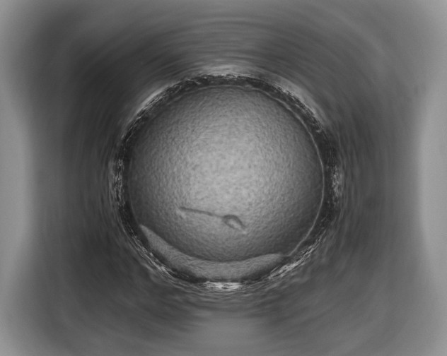 X0000116440968200912151237