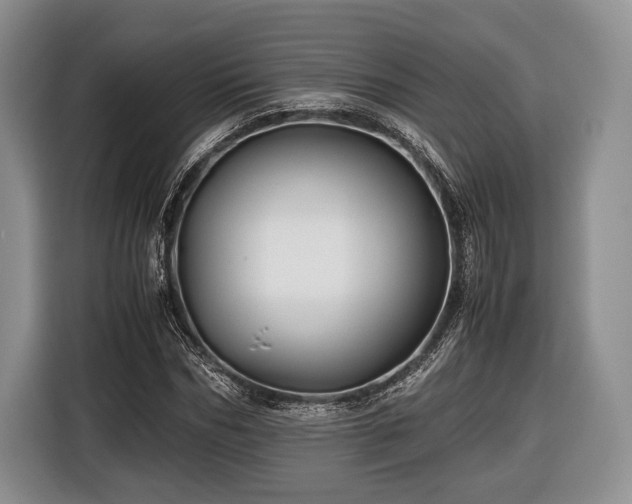 X0000116440970200912151237