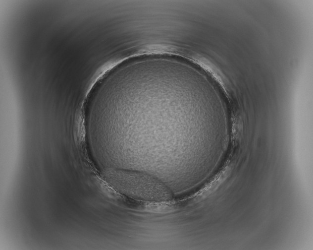 X0000116440973200912151237