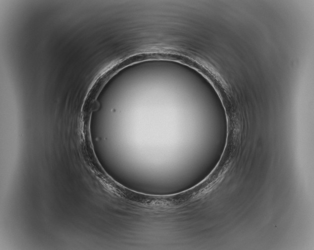 X0000116440974200912151237
